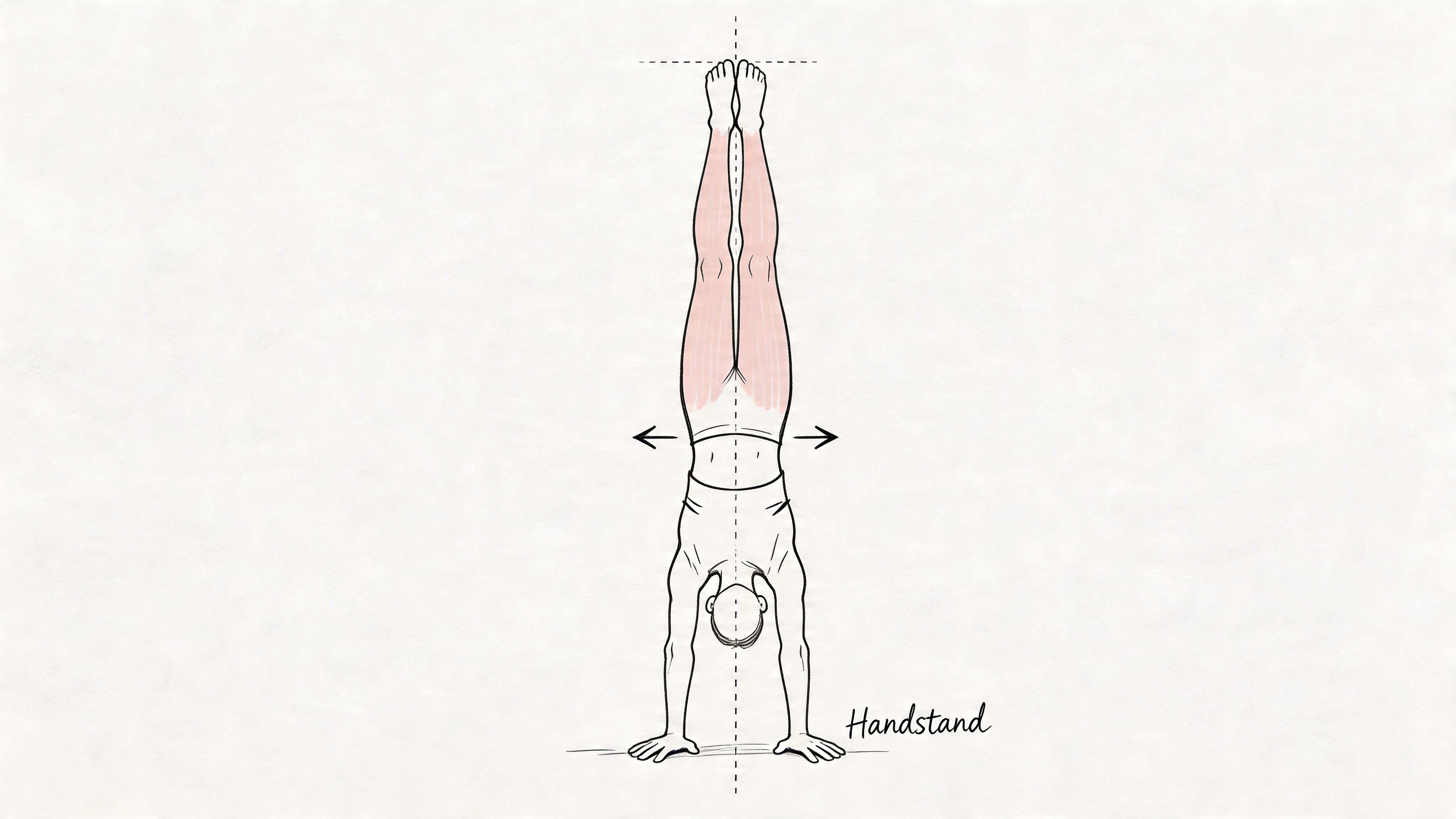 outrank-1776503575372-gymnastic-move-list-handstand.jpg
