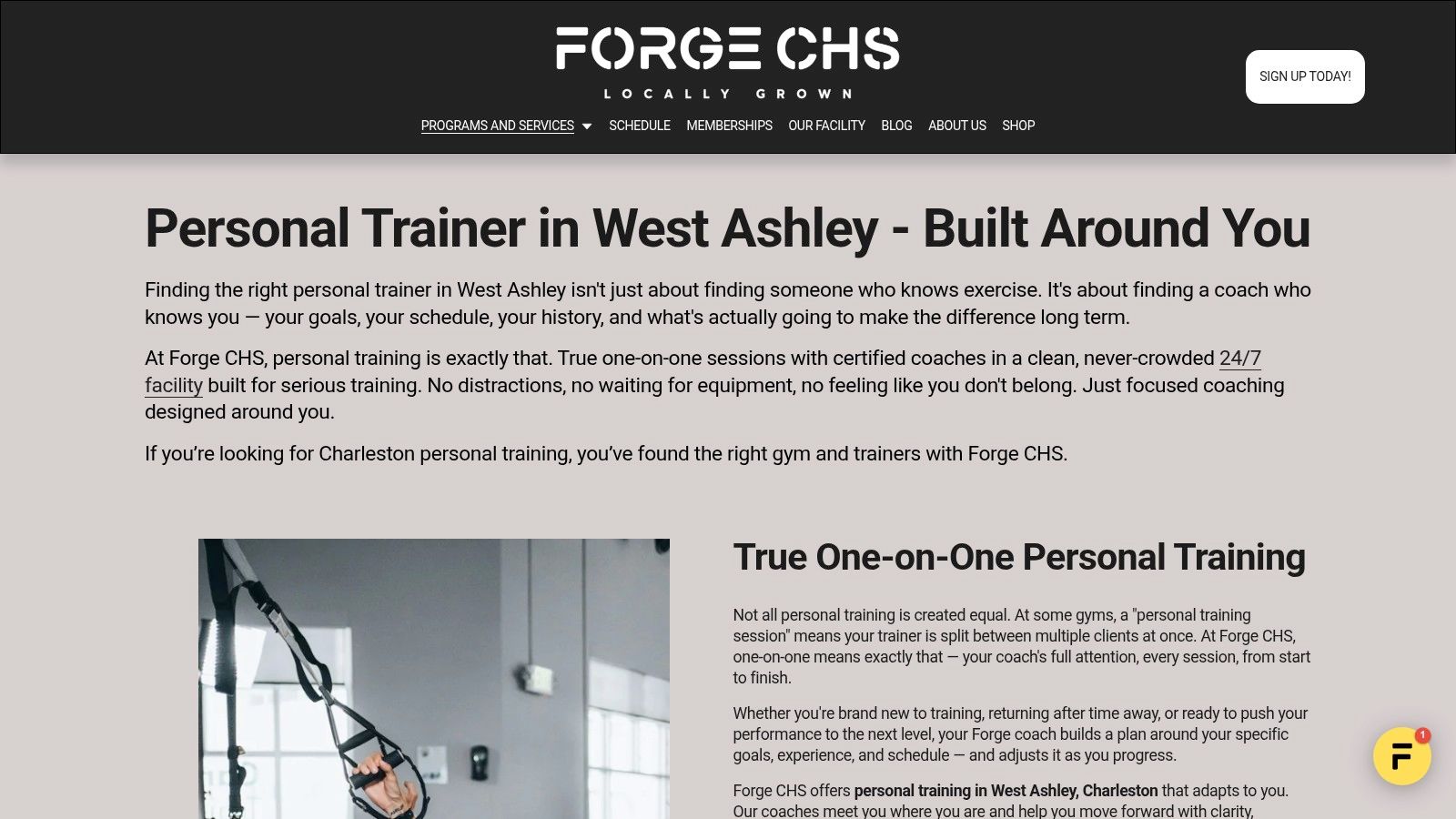 outrank-1786176265820-personal-training-charleston-trx-training.jpg